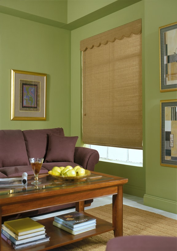 Cocoa Window Blinds